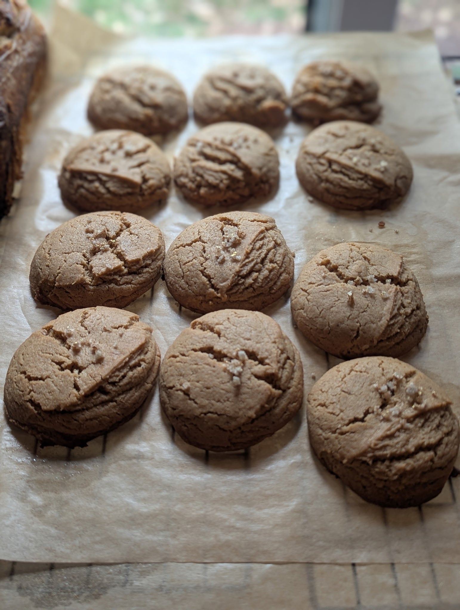 Miners Delight Cookie 12-PK