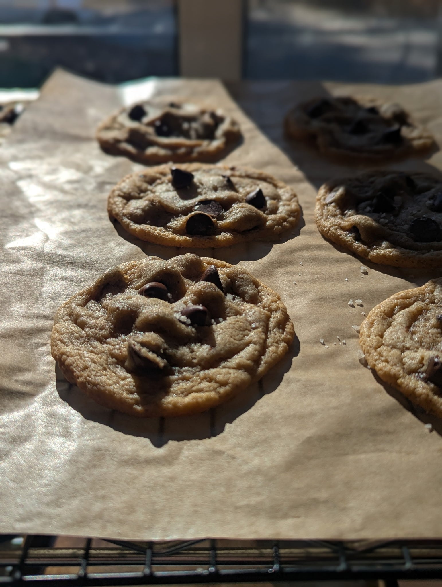 Miners Delight Cookie 12-PK