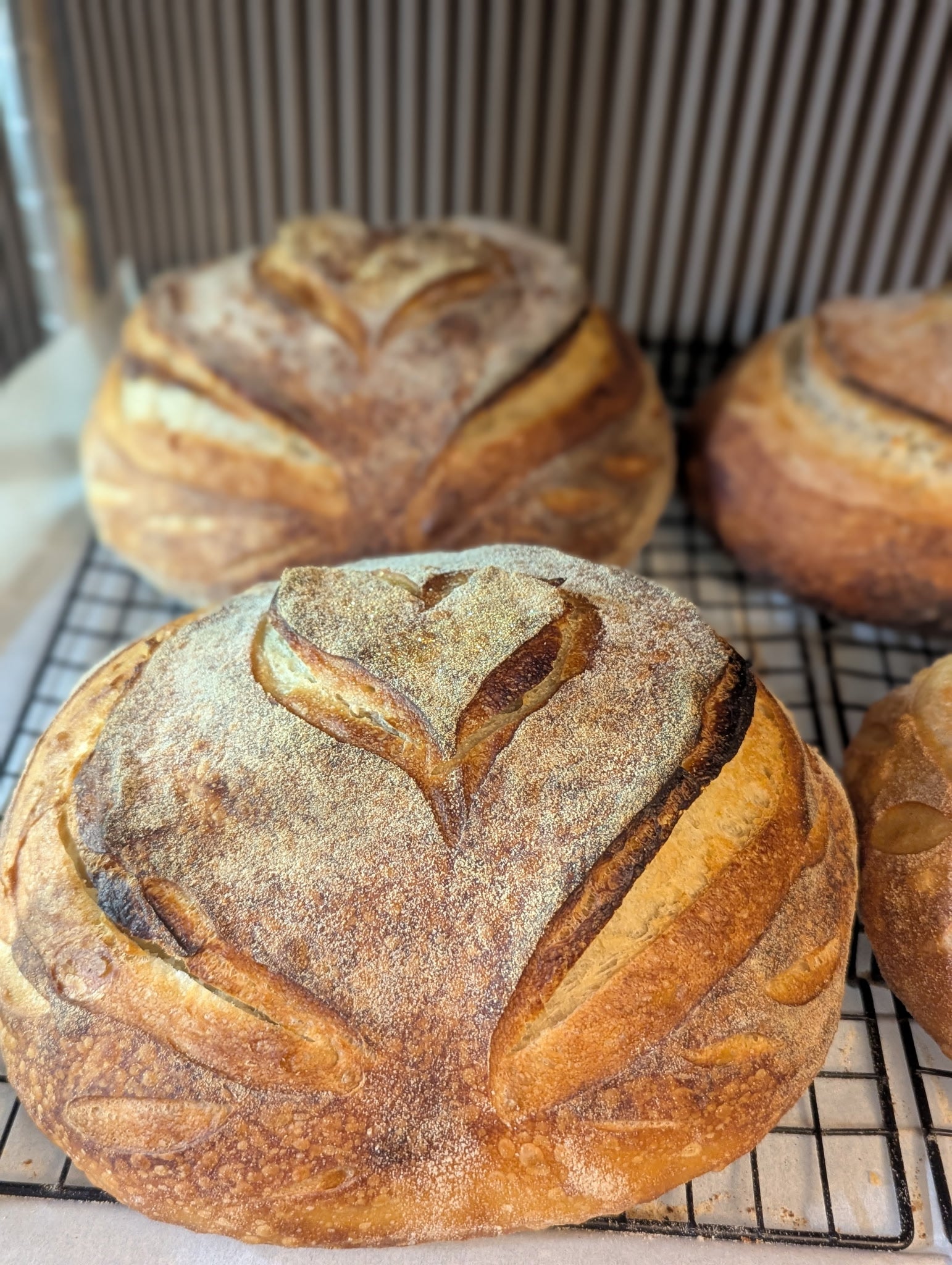 Classic Sourdough Loaf
